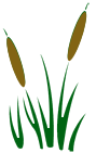 Marsh Products' Green Policy has helped the environment and reduced our operating costs.